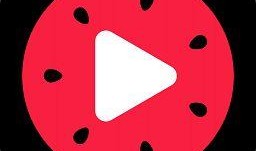 西瓜视频版本大全,海量精彩内容，一网打尽！