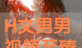 男男h视频,揭秘男男H视频背后的故事